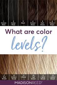 What Level Is My Hair Find Your Hair Color Level With This Guide From Madison Reed Boxed Hair Color Brown Hair Color Chart Brown Hair Chart