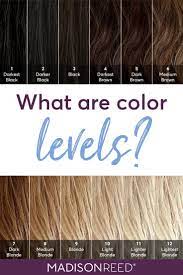Is hair the only part of the body that can be colored? What Level Is My Hair Find Your Hair Color Level With This Guide From Madison Reed Boxed Hair Color Brown Hair Color Chart Brown Hair Chart