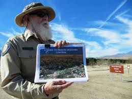 Enjoy our afternoon snacks & beverages. Fans Of Anza Borrego Desert State Park Fight Two Invasive Plants Threatening Wildflowers Redlands Daily Facts