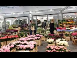 .able to source the top varieties for export to wholesalers, distributors and florists worldwide at very competitive prices. The Uk S Biggest Flower Market Has A New South London Home Youtube