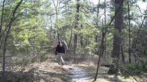 Check spelling or type a new query. Wharton Atsion To Quaker Bridge Loop Njhiking Com Youtube