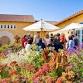 Summer Sessions at Marimar Estate