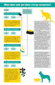 Pet Allergy Flow Chart Angies List Pet Allergies