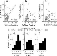 Comparison Between Pimonidazole Binding Oxygen Electrode Measurements And Expression Of Endogenous Hypoxia Markers In Cancer Of The Uterine Cervix Jankovic 2006 Cytometry Part B Clinical Cytometry Wiley Online Library