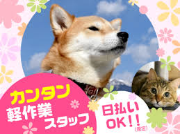 犬 求人の求人 千葉県 タウンワーク