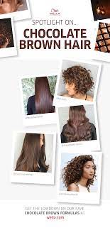 Chocolate Brown Hair Spotlight In 2021 Chocolate Brown Hair Brown Hair Trends Chocolate Brown Hair Color