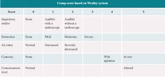 Image result for Croup Score