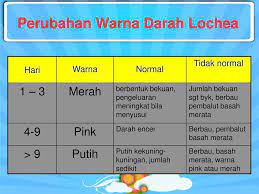 Adapun darah nifas sebabnya jelas, yaitu darah yang keluar dari seorang wanita karena melahirkan. Fisiologi Nifas Ppt Download