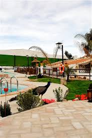 Pavo Real Charly Jpg Carlos Jose Perez Flickr