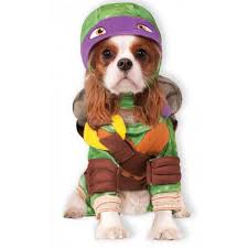 Please Note We Do Not Take Returns Of Costumes After October 15 Take A Bite Out Of Crime With The Officially Licensed Pet Costumes Pet Halloween Costumes Dog Halloween Costumes