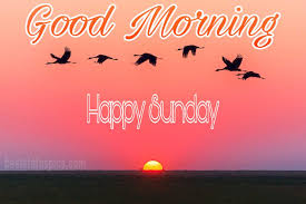 Home » 104+ new good morning happy sunday messages pictures. Nature Good Morning And Happy Sunday Images Novocom Top