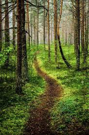 Path In The Woods Estonia By Hendrik Mandla Cr Forest Photography Nature Beautiful Nature