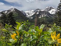 American fork canyon, utah, took this photo while trail running this morning. American Fork Canyon In The Summer Photograph By Kaitlyn Somazze