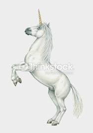 Resultat De Recherche D Images Pour Licorne Dessin Au Crayon Image Animaux Dessin Dessin Au Crayon