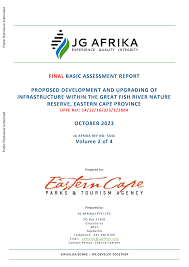 Image result for Droguetia ambigua