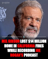 Mel Gibson is another A-list celebrity who lost his home in the California  wildfires. Earlier this week, Gibson appeared