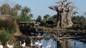How many noses does a slug have? Quiz How Well Do You Know Kilimanjaro Safaris At Disney S Animal Kingdom Disney Parks Blog