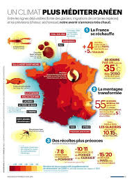 Un Climat Plus Mediterraneen Planete Ddurable Climat Rechauffement Climatique Secheresse