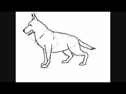 There are 360 army dog drawing for sale on etsy, and they cost 13,95 $ on average. How To Draw A Dog Breed German Shepherd Things To Draw Youtube