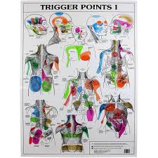 Trigger Points 2 X Charts I Ii