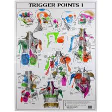 trigger points 2 x charts i ii