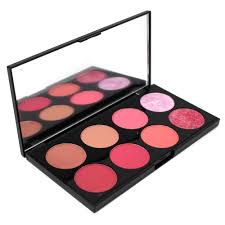blush palette makeup revolution