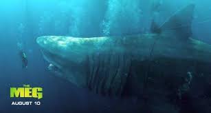 Pin On Ver Megalodon Online Latino