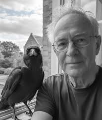 Is there a meaning when a crow lands at the window stares us down?