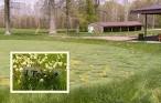 Former Columbiana golf course will revert to farmland - WFMJ.com