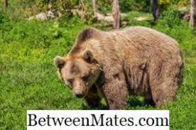 We did not find results for: Ø§Ù„ÙØ±Ù‚ Ø¨ÙŠÙ† Ø¨ÙŠØ± Ùˆ Ø¨ÙŠØ± 2021 Ø§Ù„Ù„ØºØ©