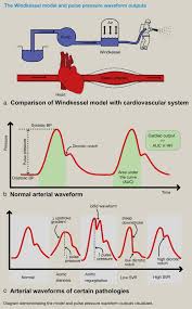 Image result for Cardiac Output