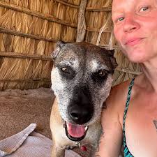 In case you wondered about the silence in this page