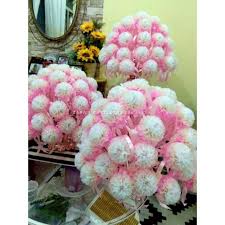 Tissue paper carnation place cards + favors diy. Bunga Telur Tisu Non Woven 50 Tangkai Shopee Malaysia