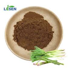 Image result for Massularia