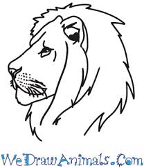 First, draw the snout along with the nose and mouth step 4: How To Draw A Lion Head