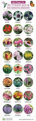 Water newly planted lantana regularly to ensure healthy root development. Best Flowers For Butterflies And Hummingbirds Flowers For Butterflies Hummingbird Garden Planting Flowers