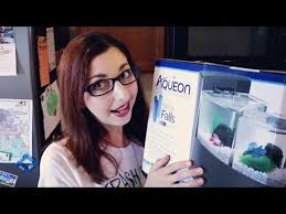 Betta Fish Tank Unboxing And Initial Review Aqueon Betta Falls Aquarium Youtube Betta Fish Tank Fish Tank Betta Fish
