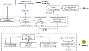 The cane is then cut and milled with water. Biorefinery For Combined Production Of Jet Fuel And Ethanol From Lipid Producing Sugarcane A Techno Economic Evaluation Kumar 2018 Gcb Bioenergy Wiley Online Library