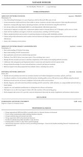 network associate resume sample