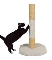 Xl Furniture Saver Model Mf 5 Cat Scratching Post Small Cat Scratcher Small Cat Furniture