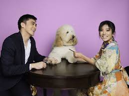 Check spelling or type a new query. Wholesale Pet Grooming Supplies Suppliers In The Philippines Burket Business Market