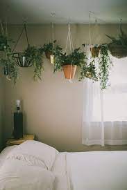 The Bedroom Calivintage Bedroom Plants Home Decor Decor
