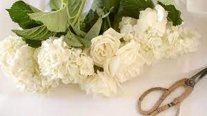 Bouquet Da Sposa Fai Da Te 5 Consigli E Video Tutorial