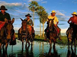 Brazil Photos National Geographic Brazil Culture Pantanal Brazil