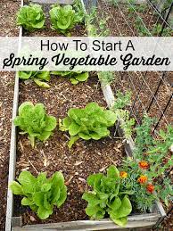 Move your seedlings into the garden later, as directed on the seed packet. How To Start A Spring Vegetable Garden