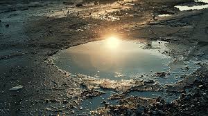 Puddle Puddle Dries On Asphalt Details ...