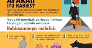 Haiwan ternakan di parit bisu semerah batu pahat.owsem. Lelaki 62 Tahun Korban Kedua Rabies Di Sarawak Tahun Ini