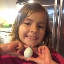 Zoe's Chicken Eggs