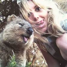 Quokka Selfie Is Cutest Trend In Australia Right Now Quokka Animals Cool Pets