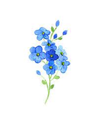 Maybe you would like to learn more about one of these? Forget Me Not Clip Art Vector Images Amp Illustrations Istock Watercolor Tattoo Flower Flower Drawing Forget Me Not Flower